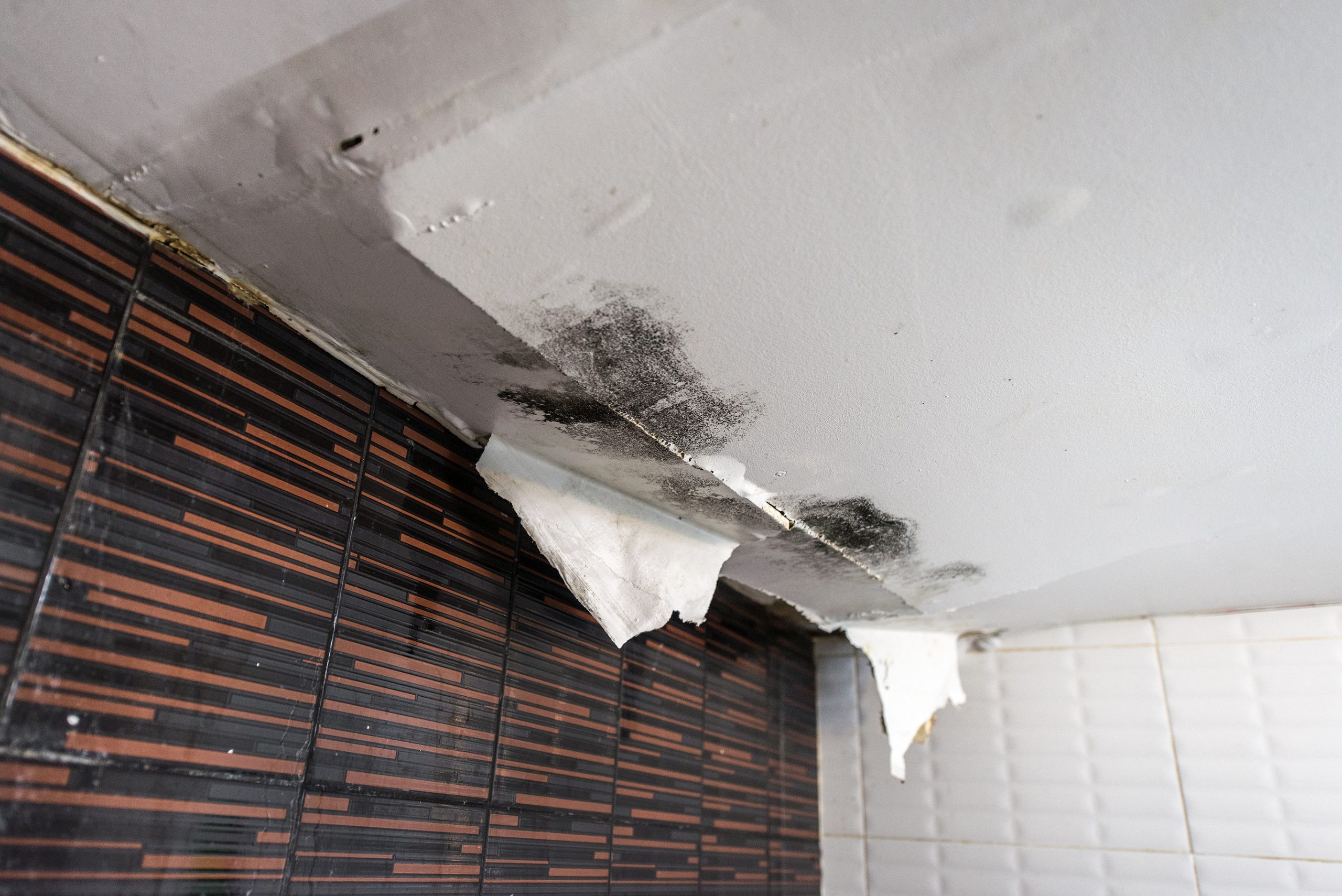 Water Leak Detection 1 Water Leak Cleanup and Restoration Services