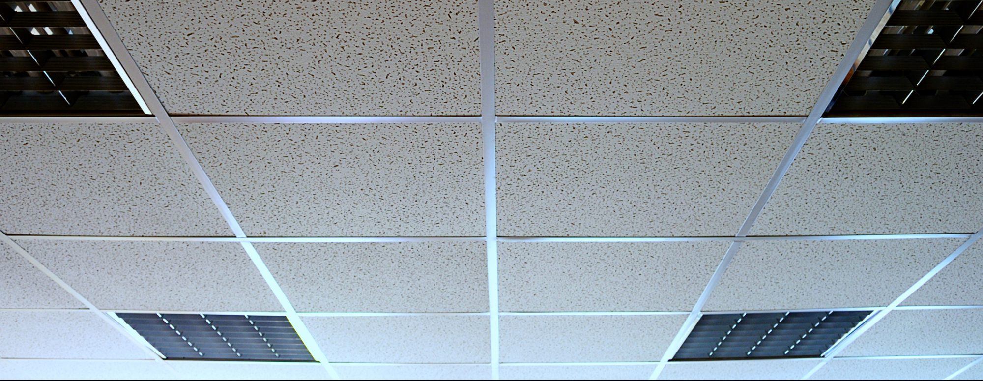 Ceiling Tile Repair Cleaning Painting Installation Replacement
